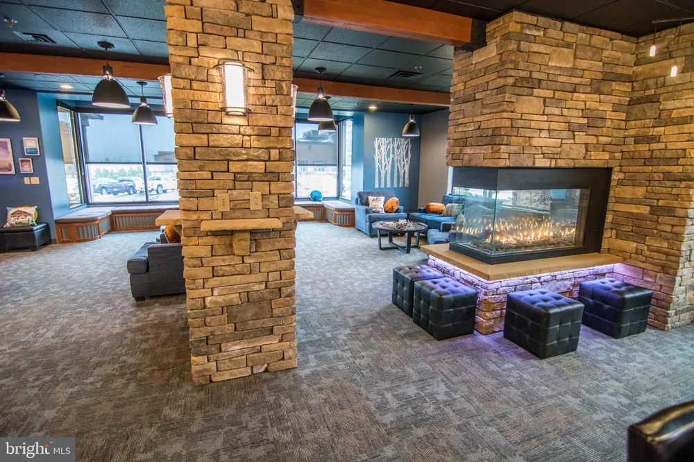 290 MARSH HILL ROAD #706 Mc Henry, MD 21541