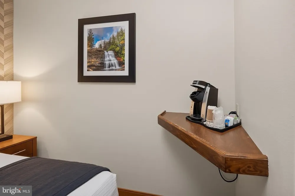 290 MARSH HILL ROAD #706 Mc Henry, MD 21541