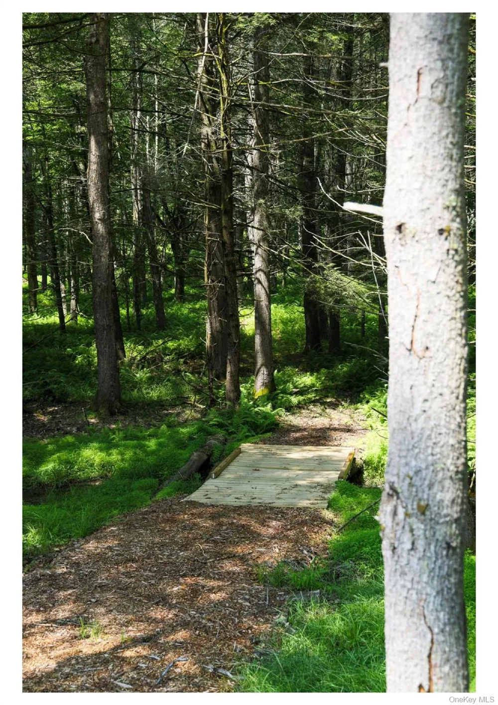 301 Reyer Road Narrowsburg, NY 12764