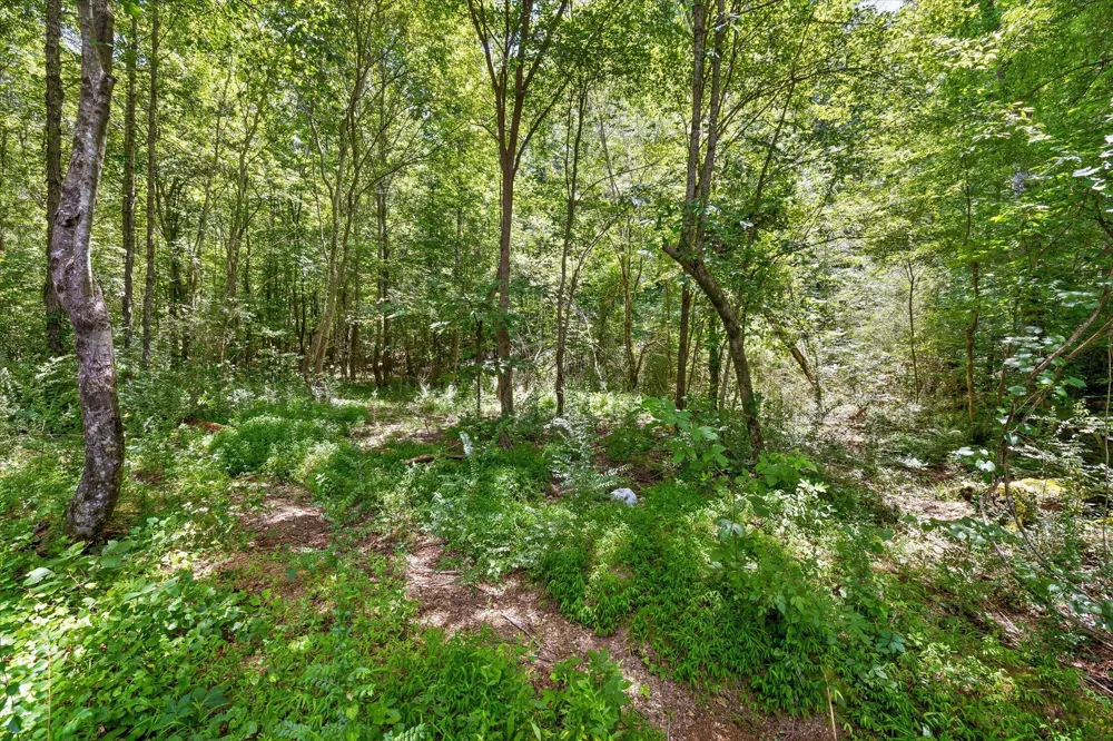 500 Riley Lane Birchwood, TN 37308
