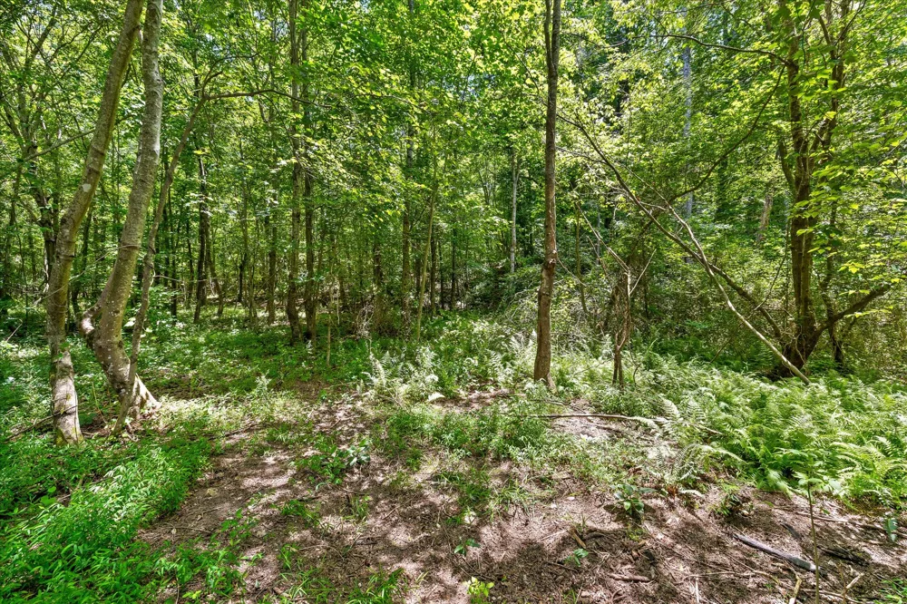 500 Riley Lane Birchwood, TN 37308