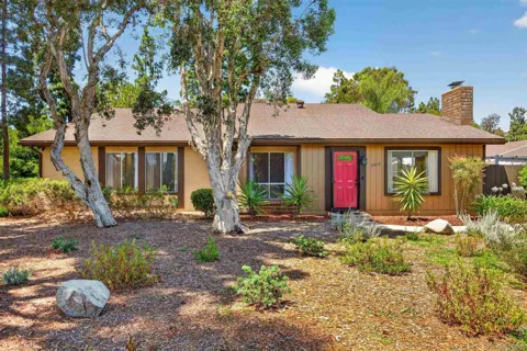 2207 Arborvitae