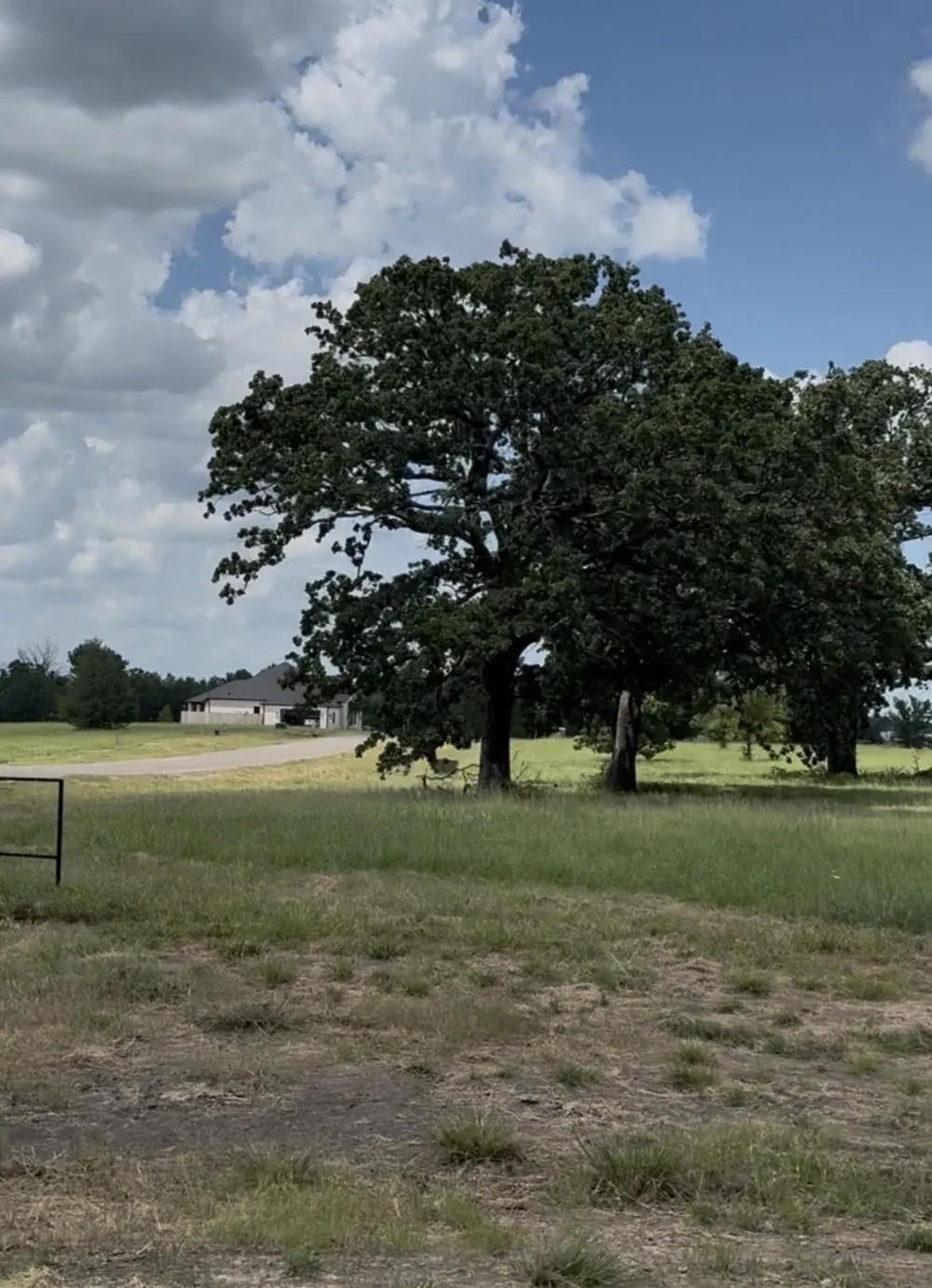 240 Shoreline Drive Dodd City, TX 75438