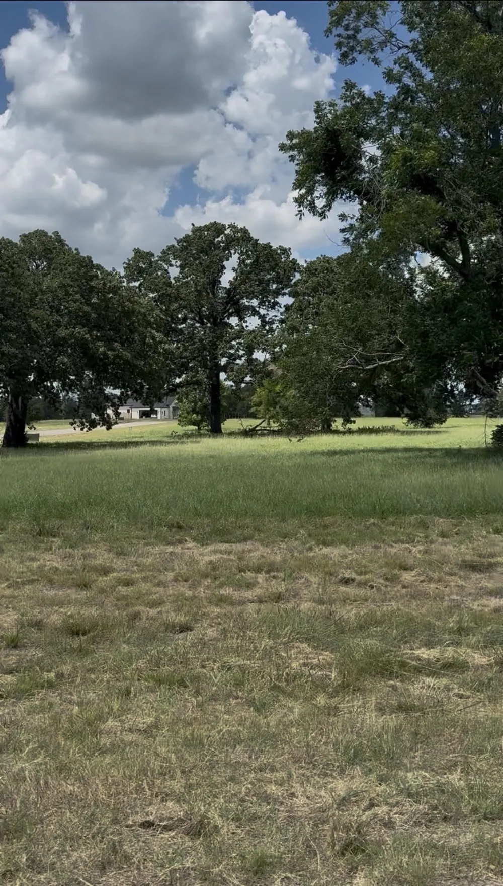 240 Shoreline Drive Dodd City, TX 75438