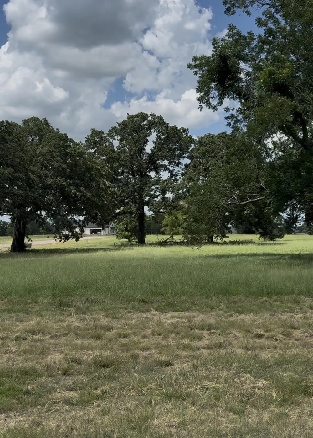 240 Shoreline Drive Dodd City, TX 75438