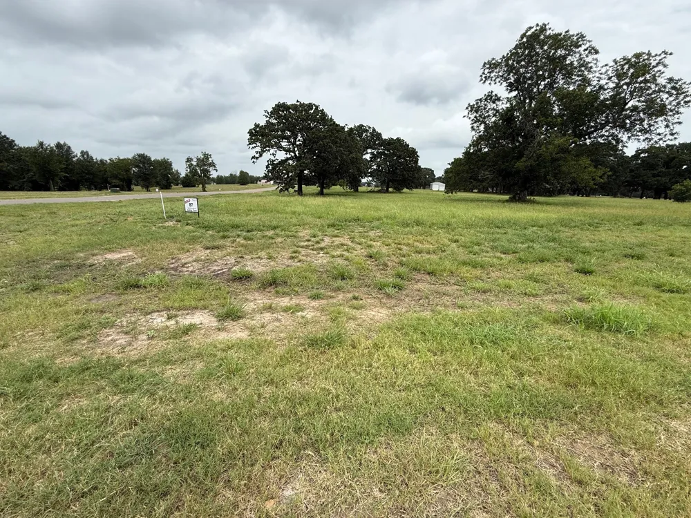 240 Shoreline Drive Dodd City, TX 75438