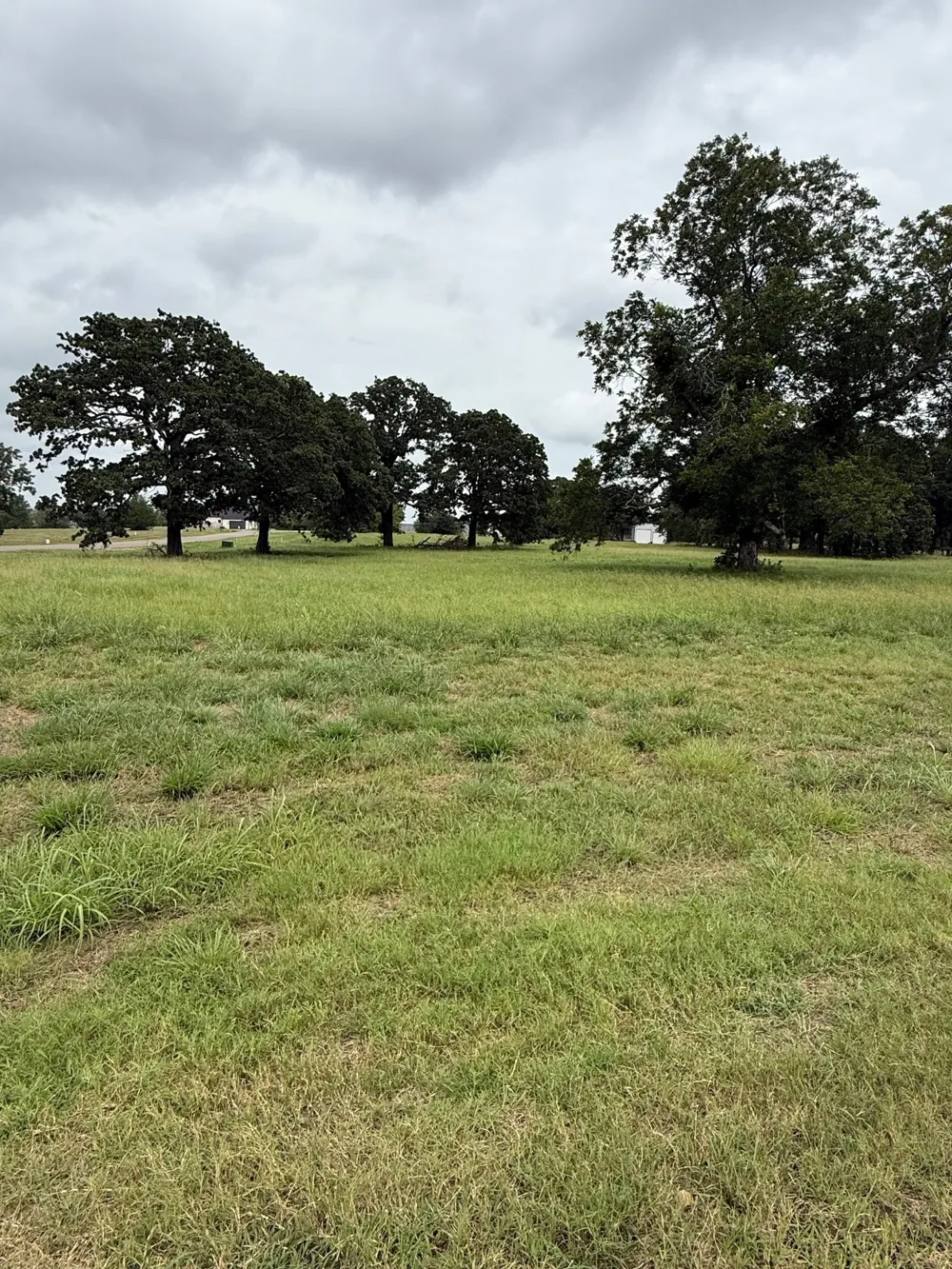 240 Shoreline Drive Dodd City, TX 75438