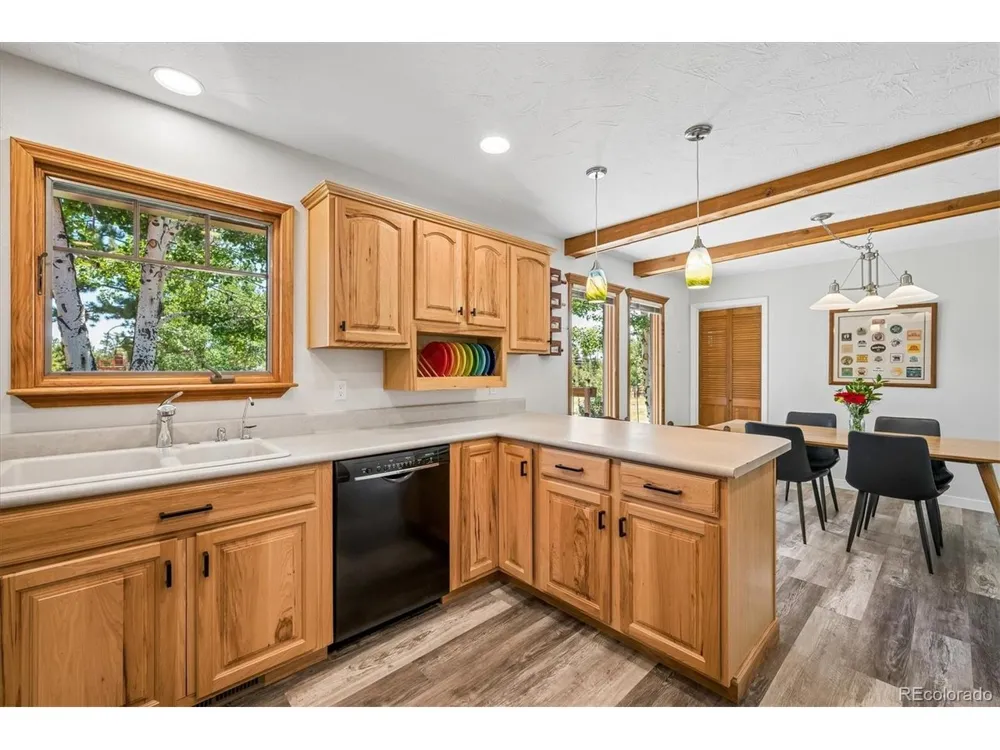 13258 S Mohawk Street Pine, CO 80470