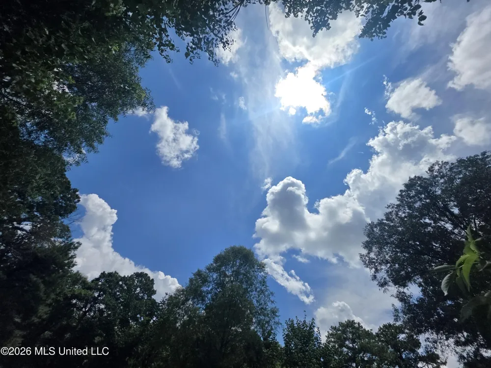Scrd 538e Morton, MS 39117
