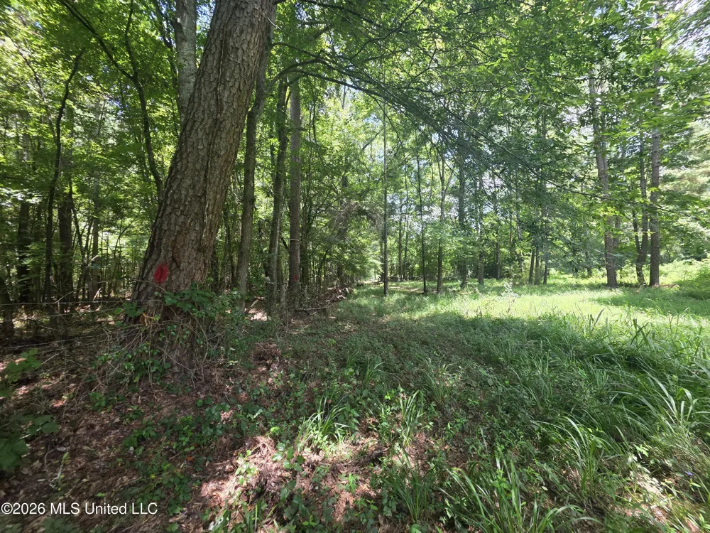 Scrd 538e Morton, MS 39117