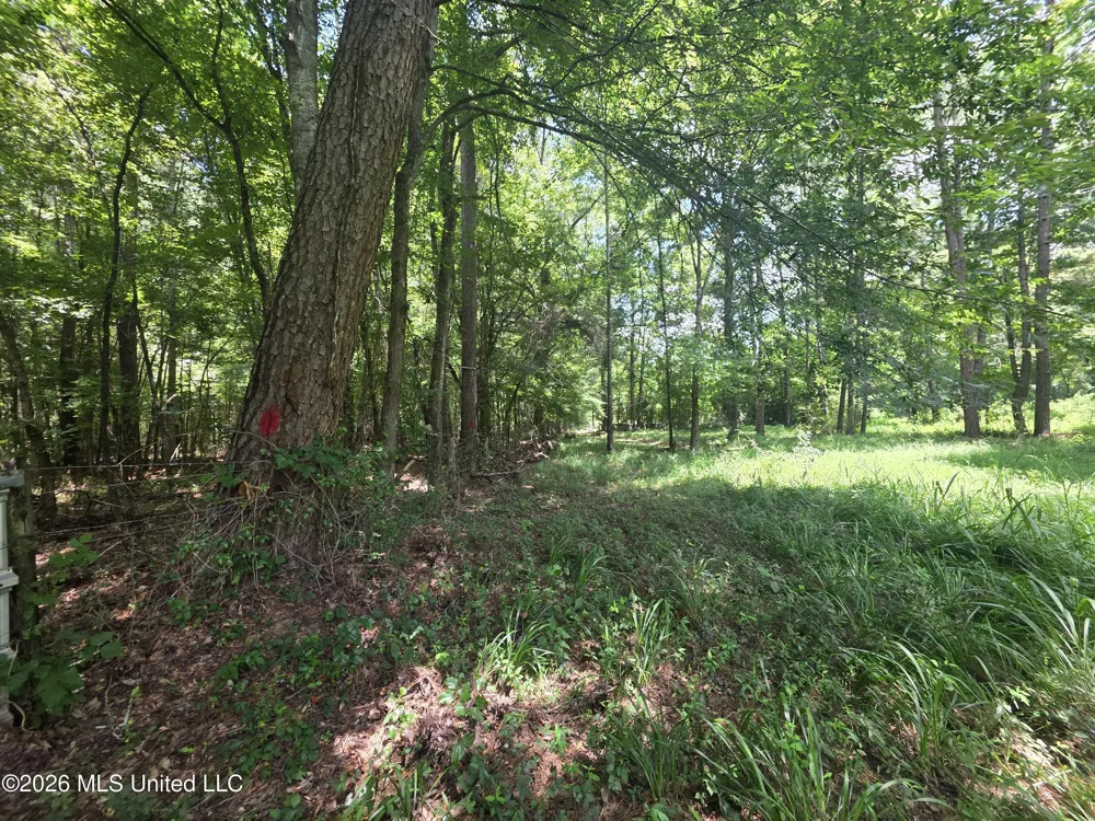 Scrd 538e Morton, MS 39117