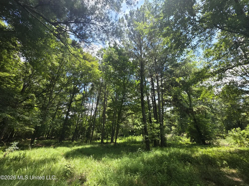 Scrd 538e Morton, MS 39117