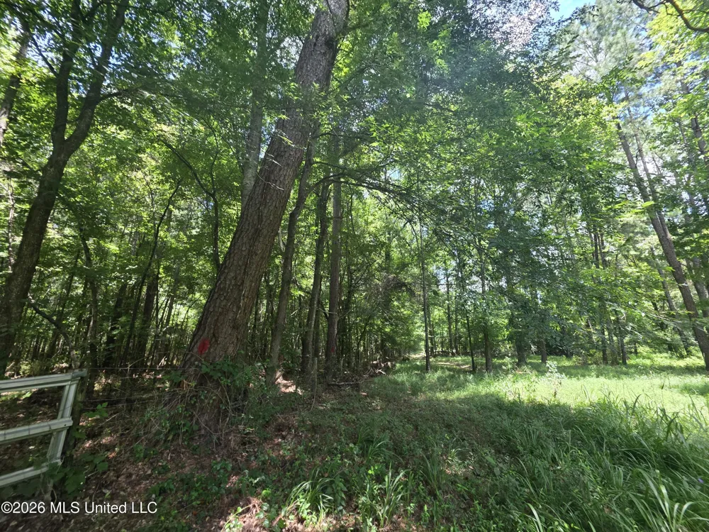 Scrd 538e Morton, MS 39117