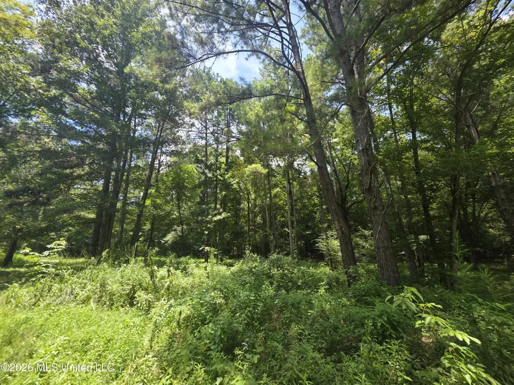 Scrd 538e Morton, MS 39117