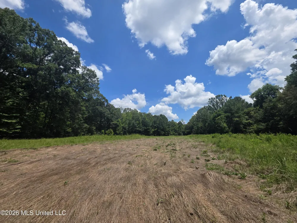 Scrd 538e Morton, MS 39117