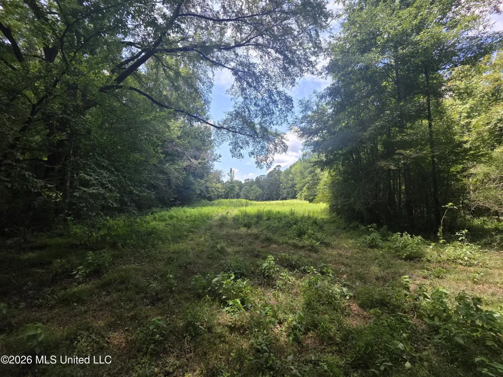 Scrd 538e Morton, MS 39117