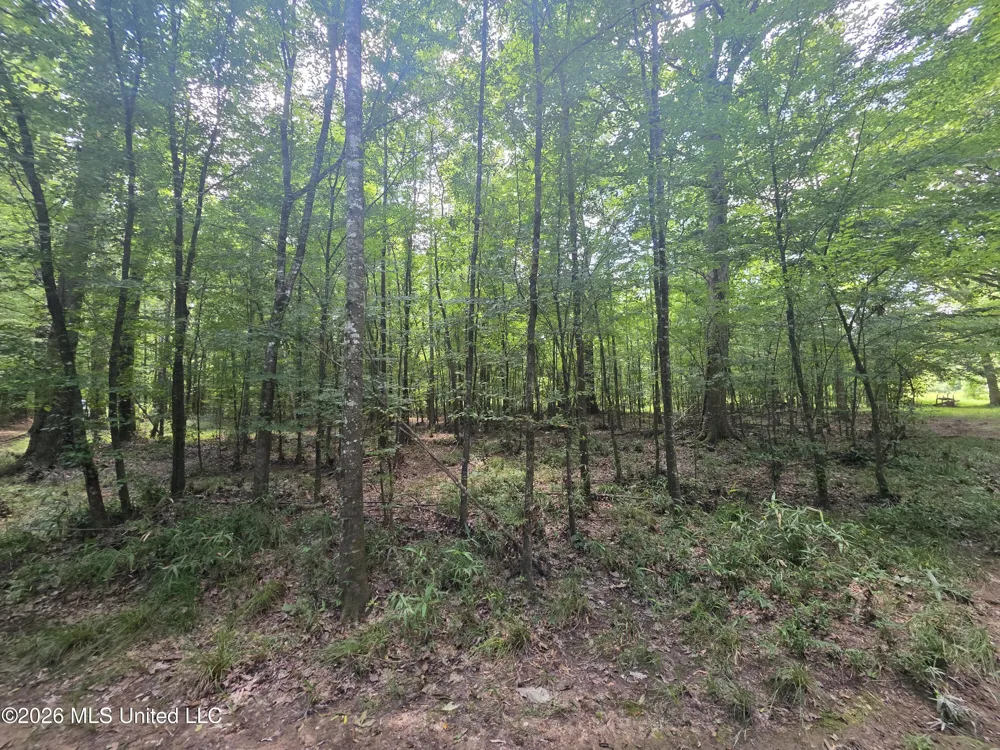 Scrd 538e Morton, MS 39117