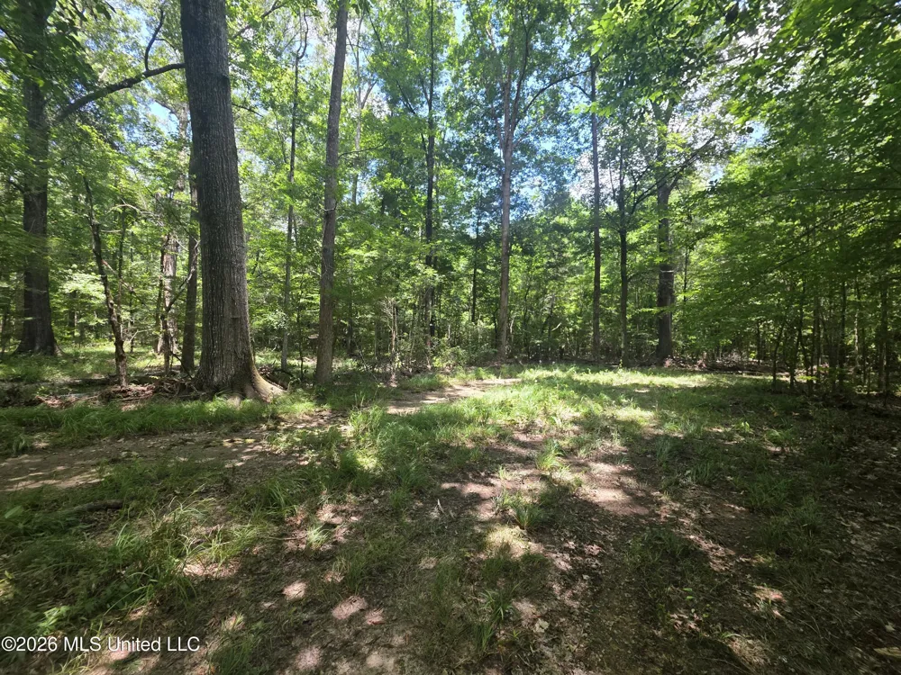 Scrd 538e Morton, MS 39117