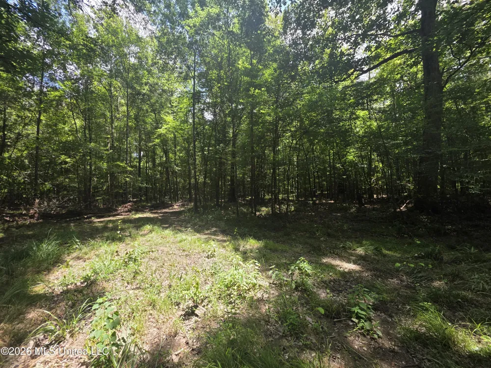 Scrd 538e Morton, MS 39117