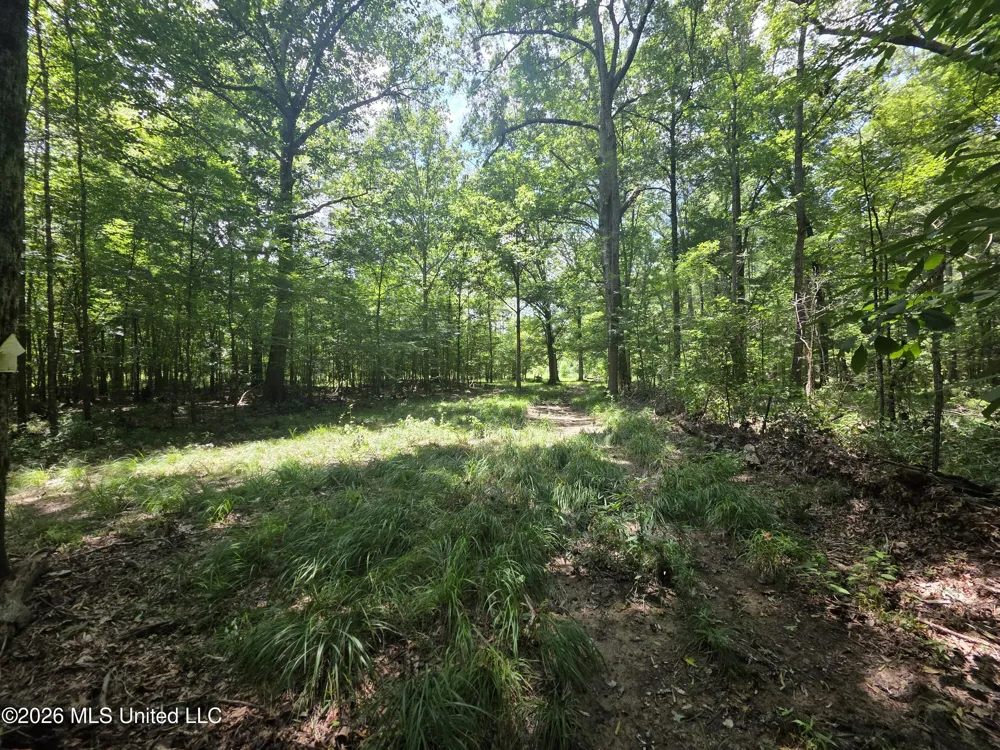 Scrd 538e Morton, MS 39117