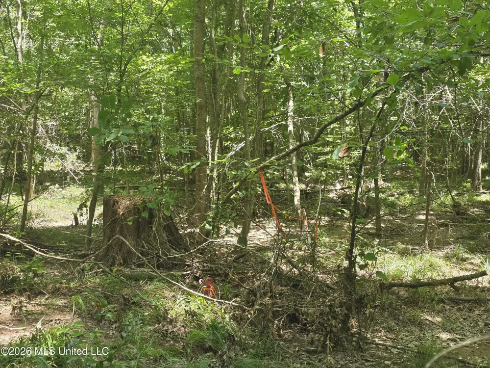 Scrd 538e Morton, MS 39117