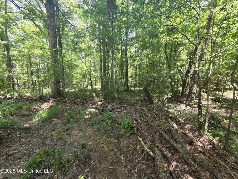 Scrd 538e Morton, MS 39117
