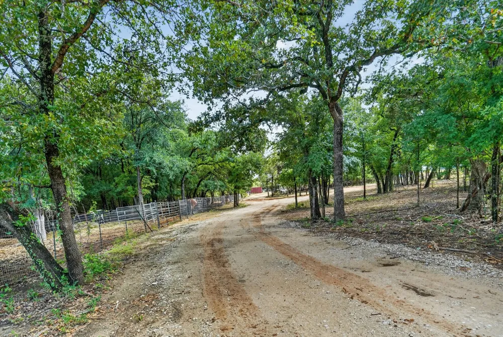 19800 E Fm 1188 Bluff Dale, TX 76433