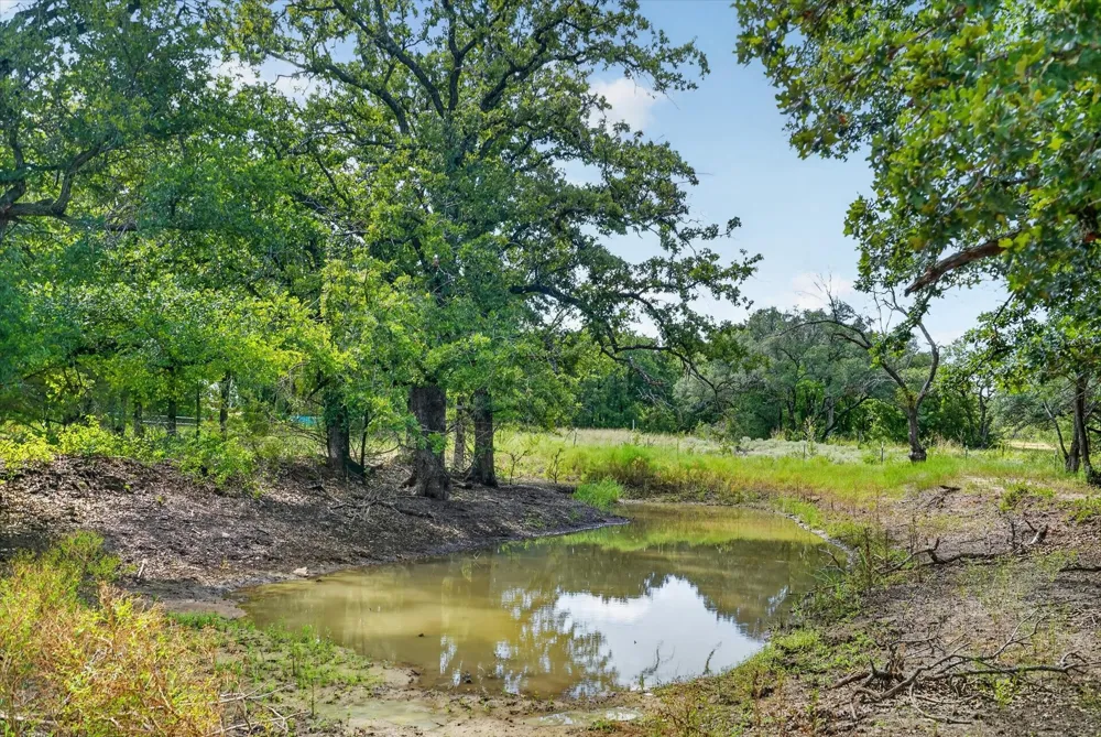 19800 E Fm 1188 Bluff Dale, TX 76433