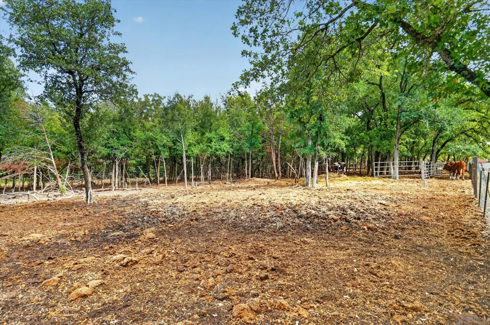 19800 E Fm 1188 Bluff Dale, TX 76433