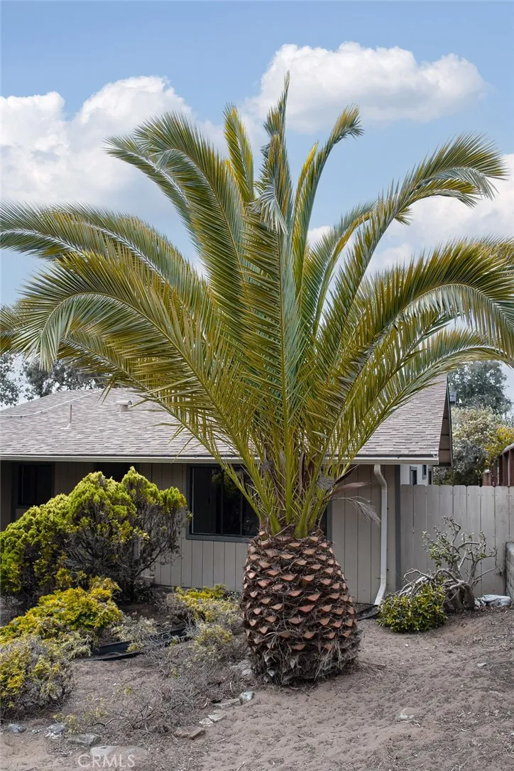 1545 6th Street Los Osos, CA 93402