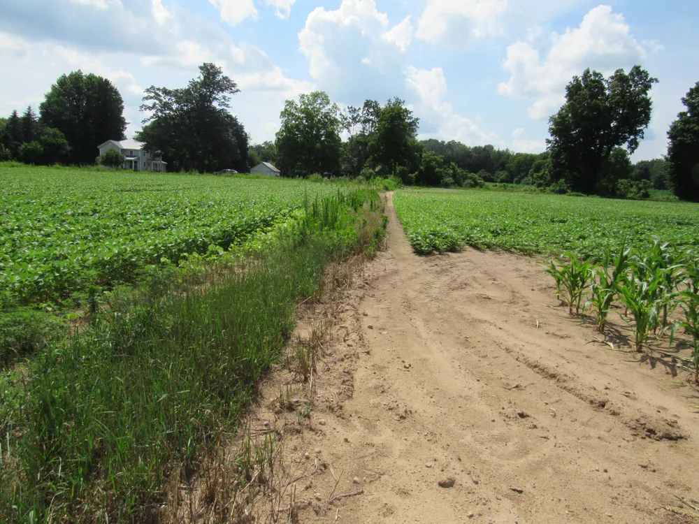 Farrand Road Colon, MI 49040