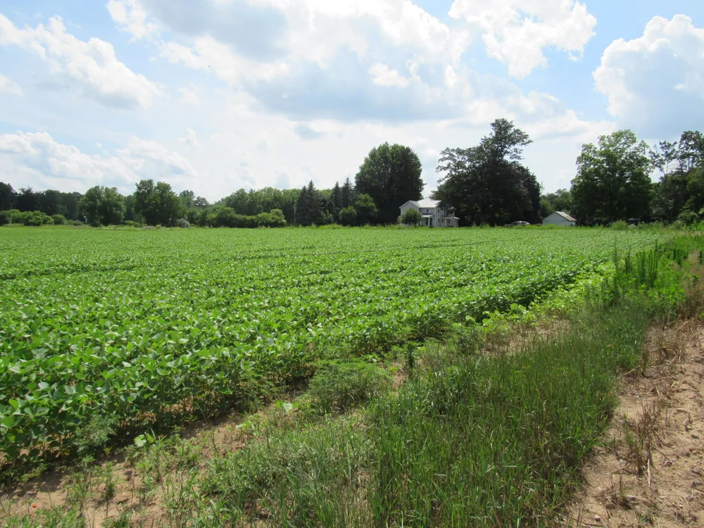 Farrand Road Colon, MI 49040
