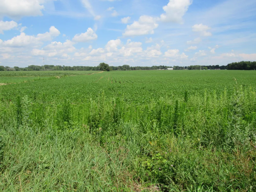 Farrand Road Colon, MI 49040