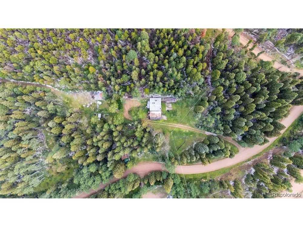 11173 S Barney Gulch Road Conifer, CO 80433