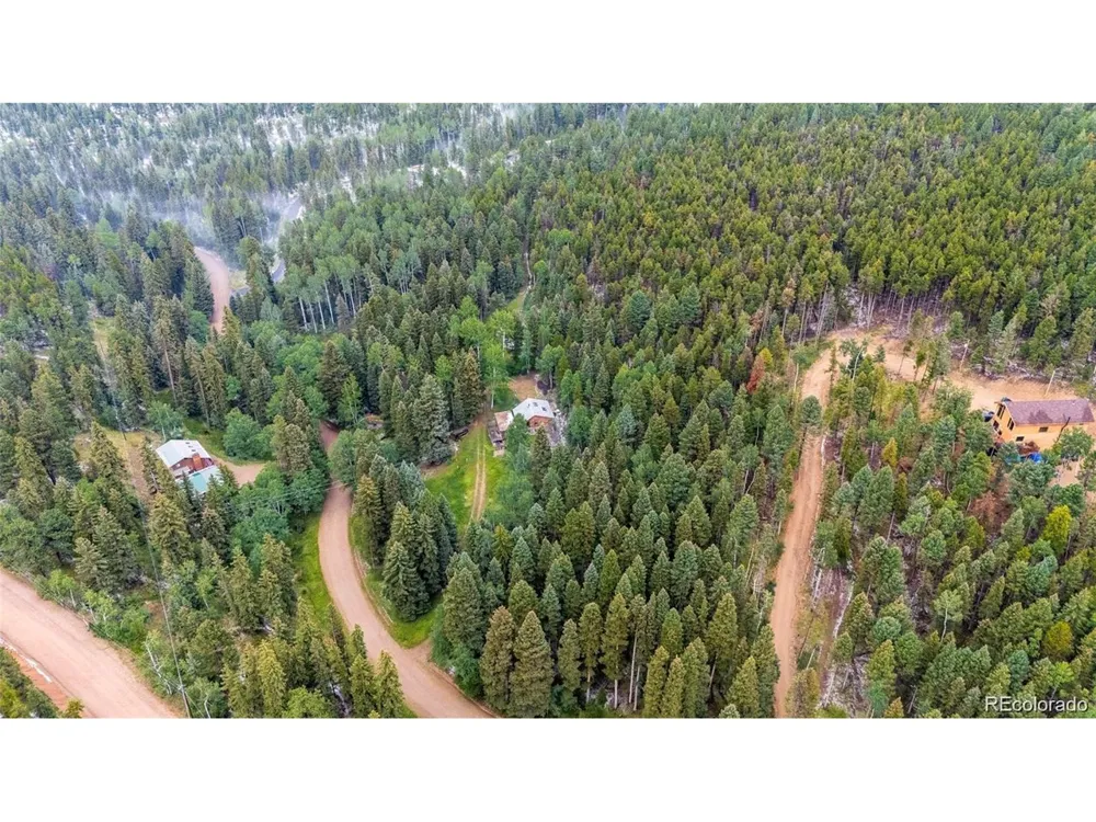 11173 S Barney Gulch Road Conifer, CO 80433