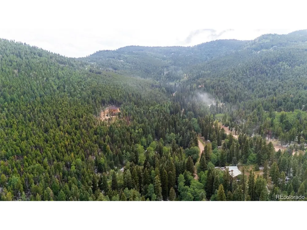 11173 S Barney Gulch Road Conifer, CO 80433