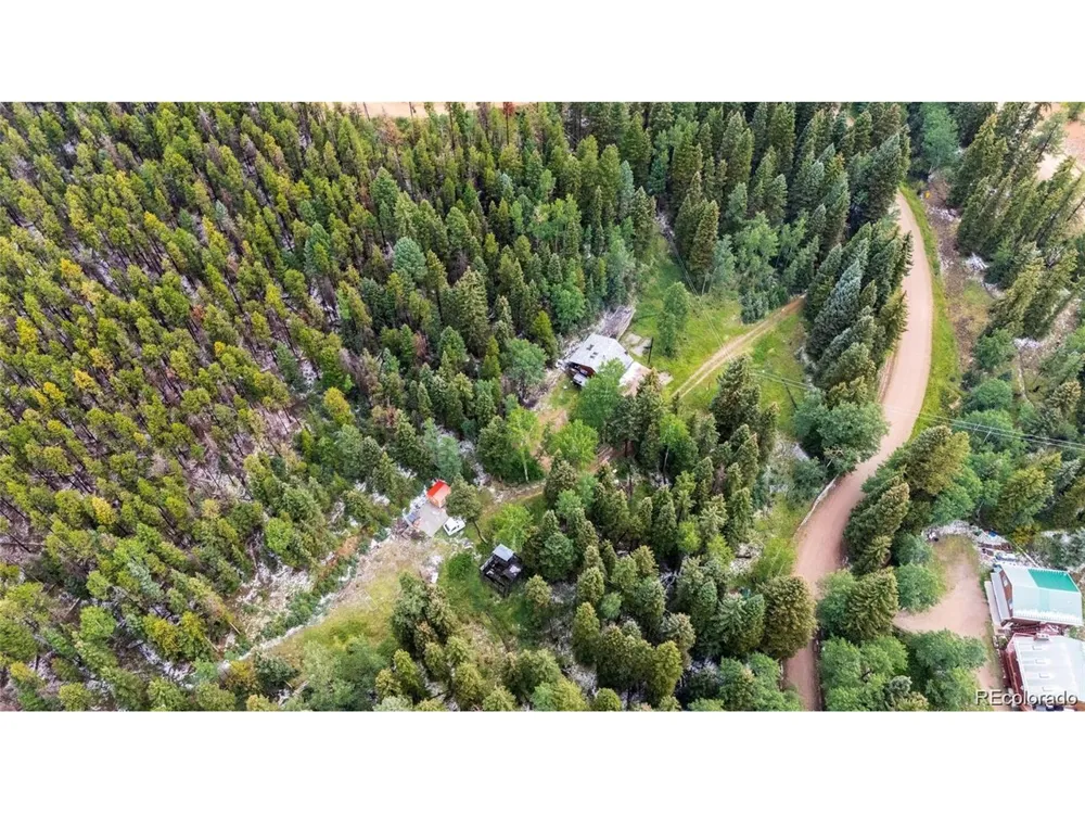 11173 S Barney Gulch Road Conifer, CO 80433