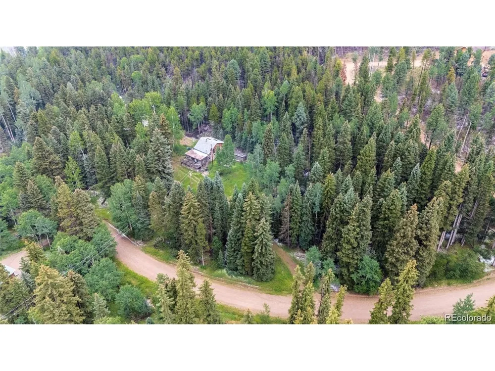 11173 S Barney Gulch Road Conifer, CO 80433