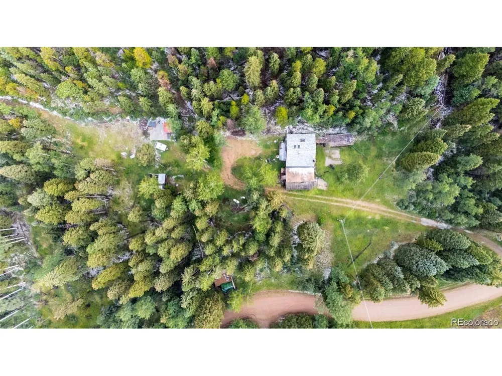 11173 S Barney Gulch Road Conifer, CO 80433