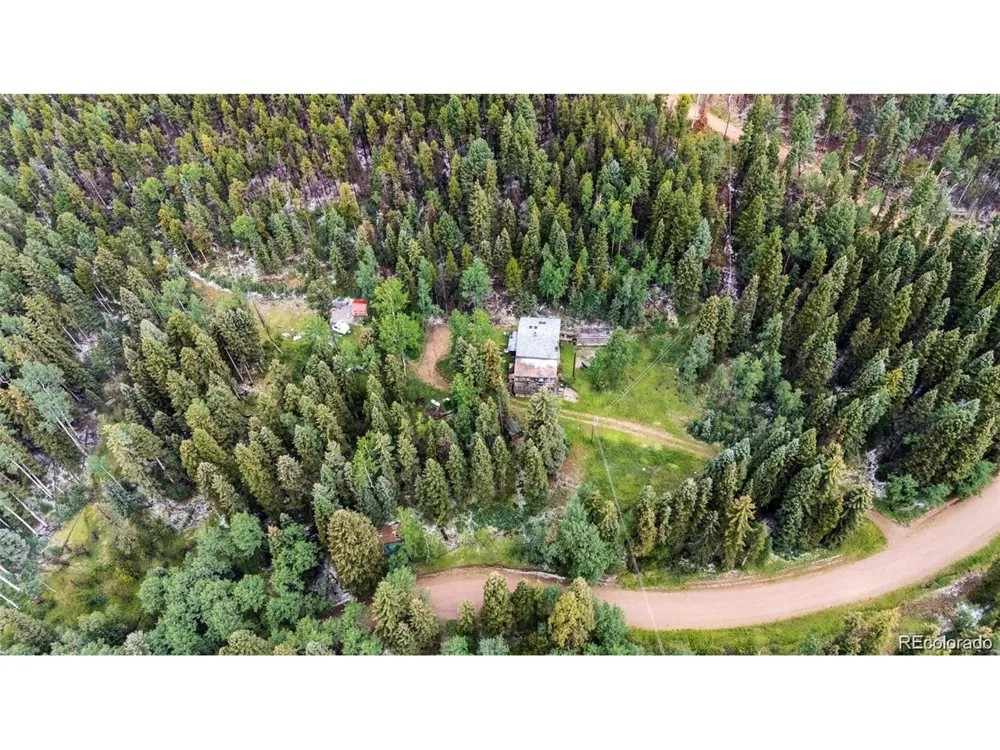 11173 S Barney Gulch Road Conifer, CO 80433