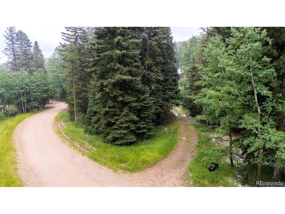 11173 S Barney Gulch Road Conifer, CO 80433