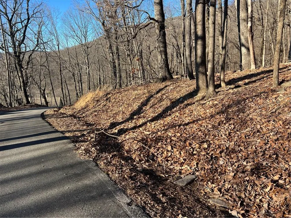 4548 Sassafras Mountain Trail Jasper, GA 30143