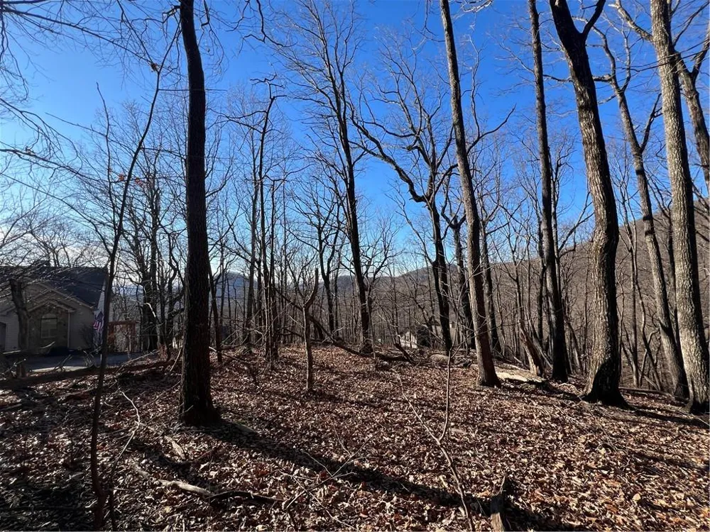 4548 Sassafras Mountain Trail Jasper, GA 30143