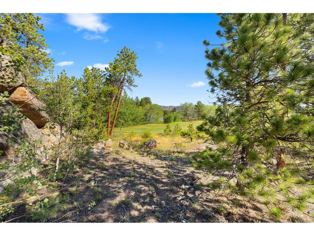 1532 Fox Acres Drive W Red Feather Lakes, CO 80545