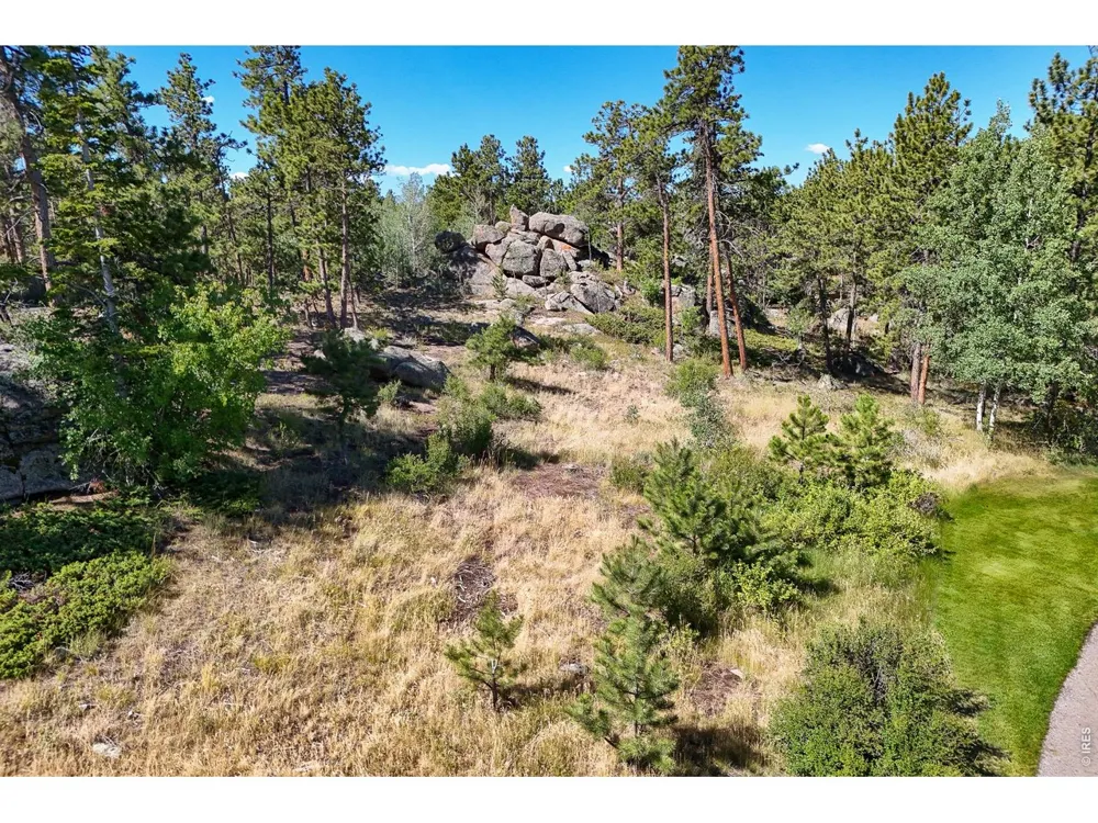 1532 Fox Acres Drive W Red Feather Lakes, CO 80545