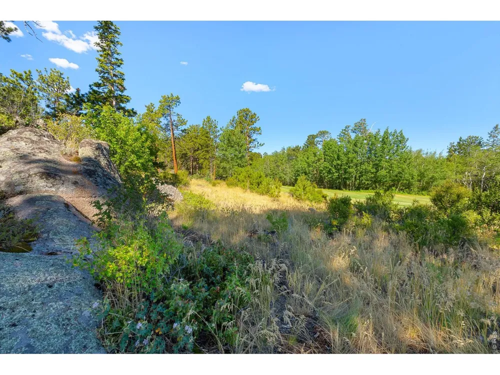1532 Fox Acres Drive W Red Feather Lakes, CO 80545