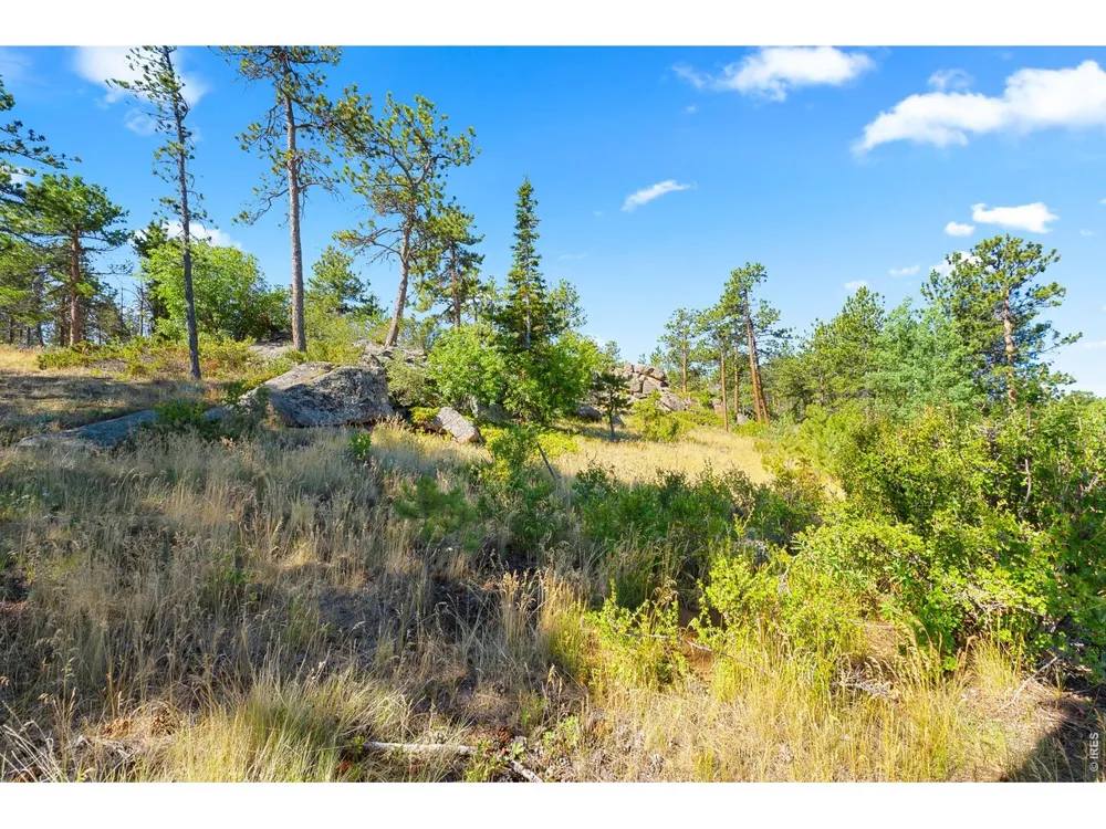 1532 Fox Acres Drive W Red Feather Lakes, CO 80545
