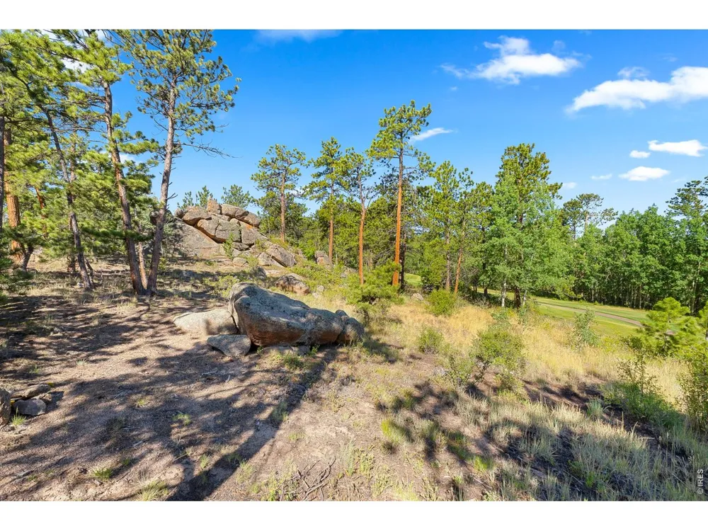 1532 Fox Acres Drive W Red Feather Lakes, CO 80545