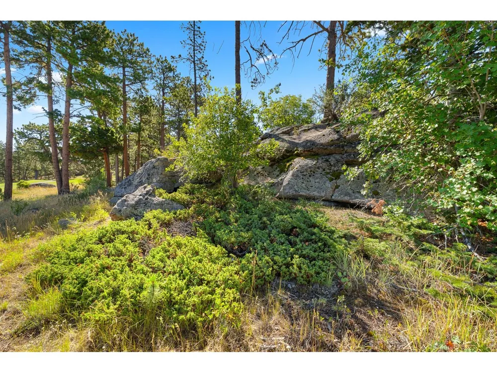 1532 Fox Acres Drive W Red Feather Lakes, CO 80545