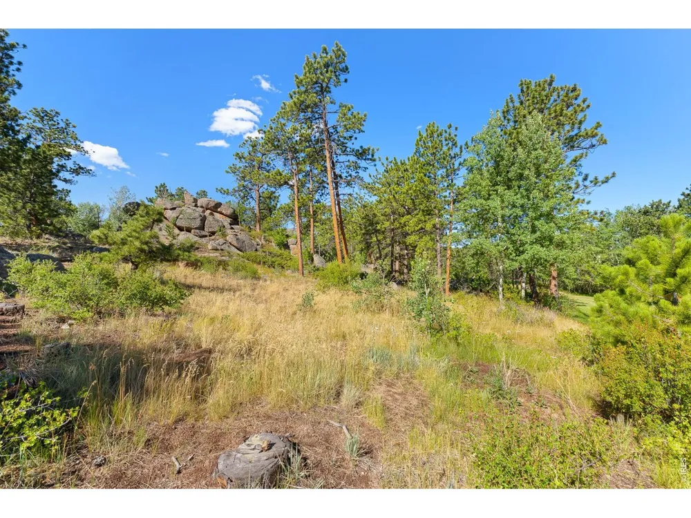 1532 Fox Acres Drive W Red Feather Lakes, CO 80545